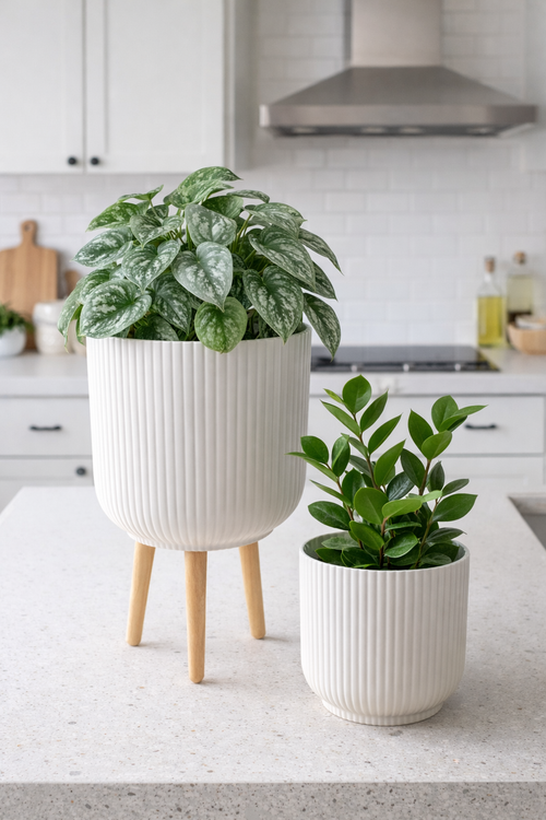 Helenia Ribbed Planter Set White