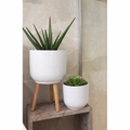 Helenia Ribbed Planter Set White