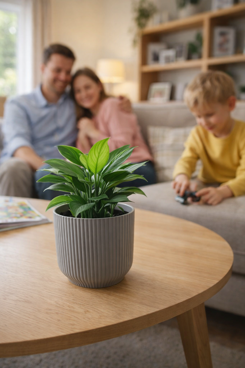 Helenia Stylish Ribbed Pot Grey 1.7L Small Plant Pot